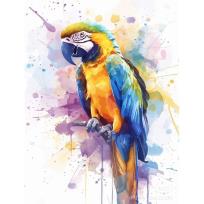 Opakowanie Malowanie po numerach 40x50cm Papuga