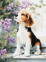 Opakowanie Malowanie po numerach - Beagle wśród kwiatów 30x40