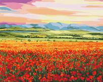 Opakowanie Malowanie po numerach BRUSHME 40x50 cm Zachód Słońca nad Polem Kwiatów