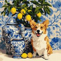 Opakowanie Malowanie po numerach - Corgi i cytryny 40x40cm