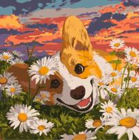 Opakowanie Malowanie po numerach - Corgi w stokrotka 40x40cm