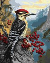 Opakowanie Malowanie po numerach -Dzięcioł na kalinie 40x50cm