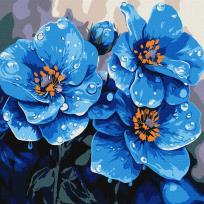 Opakowanie Malowanie po numerach - Fiołki co rano 30x30cm