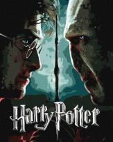 Opakowanie Malowanie po numerach - Harry i Voldemort metal
