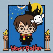Opakowanie Malowanie po numerach - Harry Potter 25x25cm