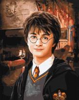 Opakowanie Malowanie po numerach -Harry Potter 40x50cm