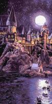 Opakowanie Malowanie po numerach - Harry Potter 40x80cm
