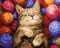 Opakowanie Malowanie po numerach - Kot w plątaninie 40x50cm