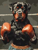 Opakowanie Malowanie po numerach - Moc ringu 30x40cm