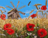 Opakowanie Malowanie po numerach - Nowa uprawa 40x50cm