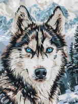 Opakowanie Malowanie po numerach -Oczy północy 3040cm