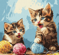 Opakowanie Malowanie po numerach - Plątanina 30x30cm