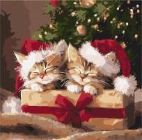 Opakowanie Malowanie po numerach - Puszyste prezenty 40x40cm
