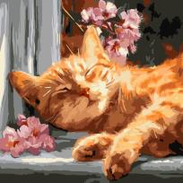 Opakowanie Malowanie po numerach - Rudy kot na parapecie