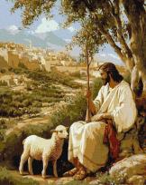 Opakowanie Malowanie po numerach - Spokój Duszy 40x50cm