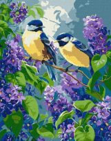 Opakowanie Malowanie po numerach - Wiosenny duet 30x40cm