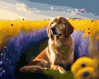 Opakowanie Malowanie po numerach + złota farba - Złoty pies..