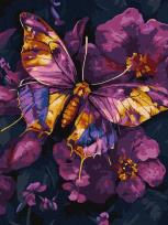 Opakowanie Malowanie po numerach -Złoty Motyl metal 30x40cm