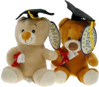 Opakowanie Maskotka Miś Absolwent 12cm MIX