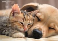 Opakowanie Mata na biurko z nadrukiem friendship