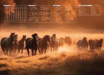 Opakowanie Mata na biurko z nadrukiem konie 2024