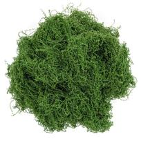 Opakowanie Mech dekoracyjny ciemnozielony 30g