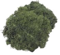 Opakowanie Mech dekoracyjny ciemnozielony 50g