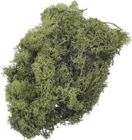 Opakowanie Mech dekoracyjny zielony 50g