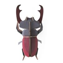 Opakowanie Model kartonowy 3D Wall Art - Beettles. Stag...