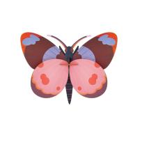 Opakowanie Model kartonowy 3D Wall Art - Bellissima Butterfly