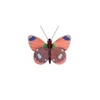 Opakowanie Model kartonowy 3D Wall Art - Delias Butterfly