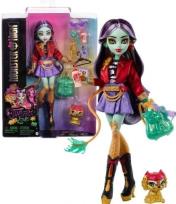 Opakowanie Monster High Lalka Jinafire Long + zwierzątko