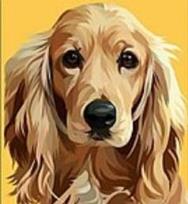 Opakowanie Mozaika diamentowa