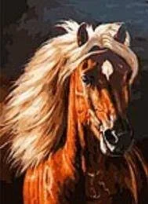 Opakowanie Mozaika diamentowa koń 40x50cm