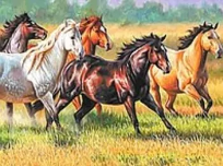 Opakowanie Mozaika diamentowa konie 30x40cm