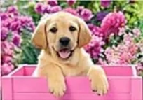 Opakowanie Mozaika diamentowa lablador 30x40cm