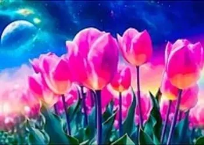 Opakowanie Mozaika diamentowa tulipany 30x40cm