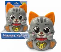 Opakowanie Muzyczny kotek e-edu