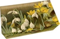 Opakowanie Mydło 200g zapach cytrynowy