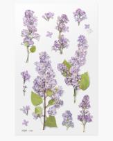 Opakowanie Naklejki ozdobne kwiaty Bez Lilak