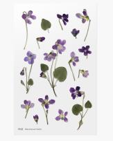 Opakowanie Naklejki ozdobne kwiaty Fiołek