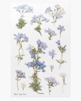 Opakowanie Naklejki ozdobne kwiaty Floks