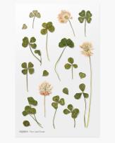 Opakowanie Naklejki ozdobne kwiaty Koniczyna