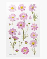 Opakowanie Naklejki ozdobne kwiaty Kosmos Aster