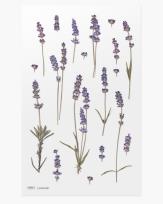 Opakowanie Naklejki ozdobne kwiaty Lawenda