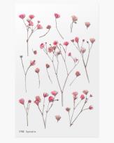 Opakowanie Naklejki ozdobne kwiaty Łyszczec