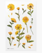 Opakowanie Naklejki ozdobne kwiaty Nagietek