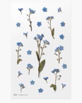 Opakowanie Naklejki ozdobne kwiaty Niezapominajki