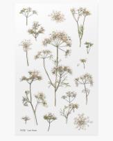 Opakowanie Naklejki ozdobne kwiaty Orlaja