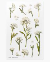 Opakowanie Naklejki ozdobne kwiaty Smagliczka